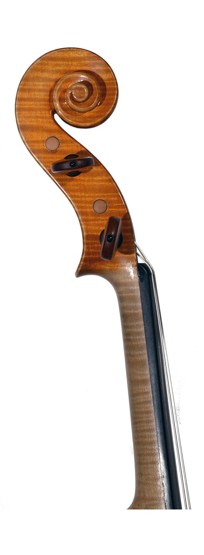 Gio batta morassi violin price hotsell
